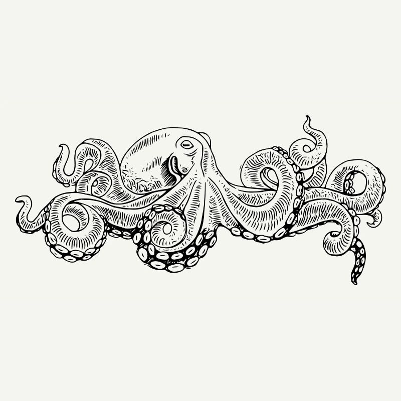 Octopus - Octopus Black Pattern
