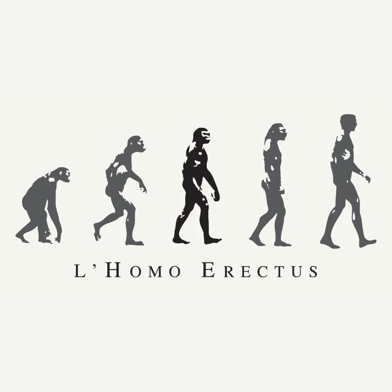 Evolution der menschlichen Haltung