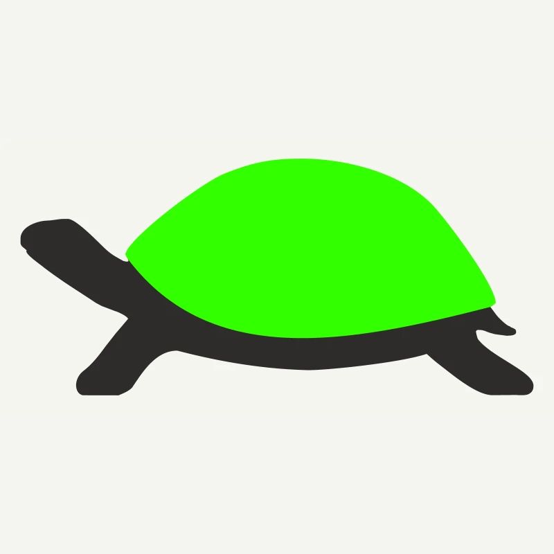 Tortue dessinée