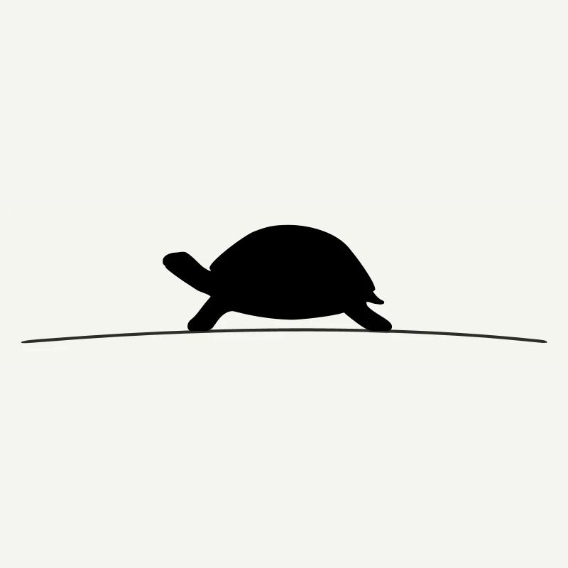 Silhouette de la Tortue