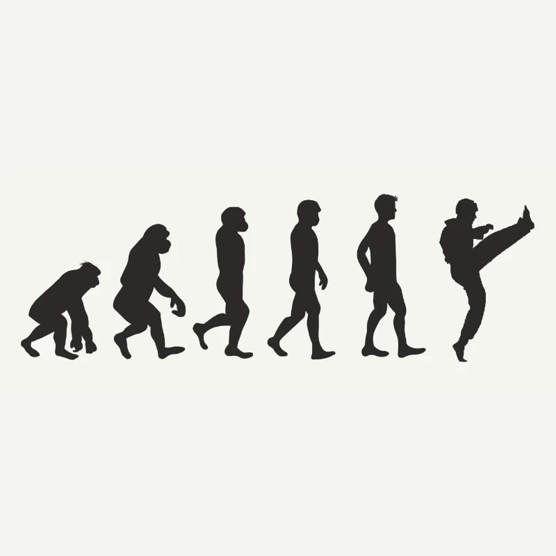 Evolution Karate