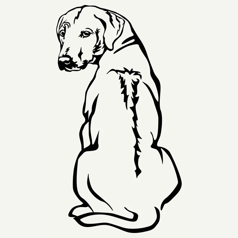 Rhodesian Ridgeback