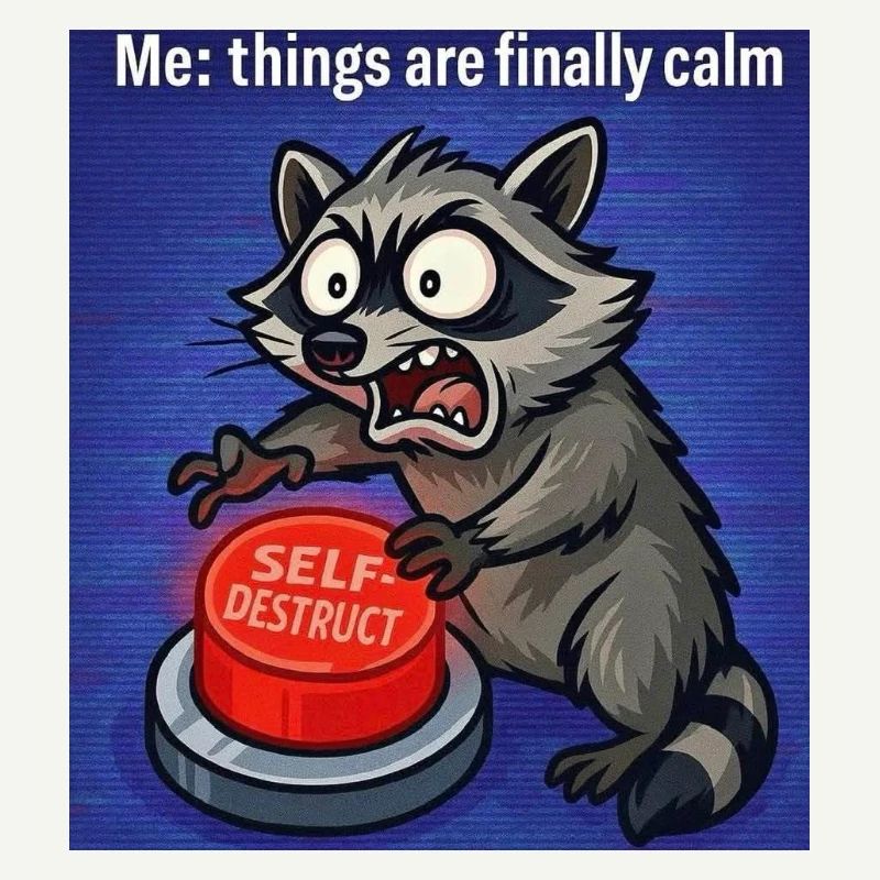 Raccoon Self-Destruct Meme