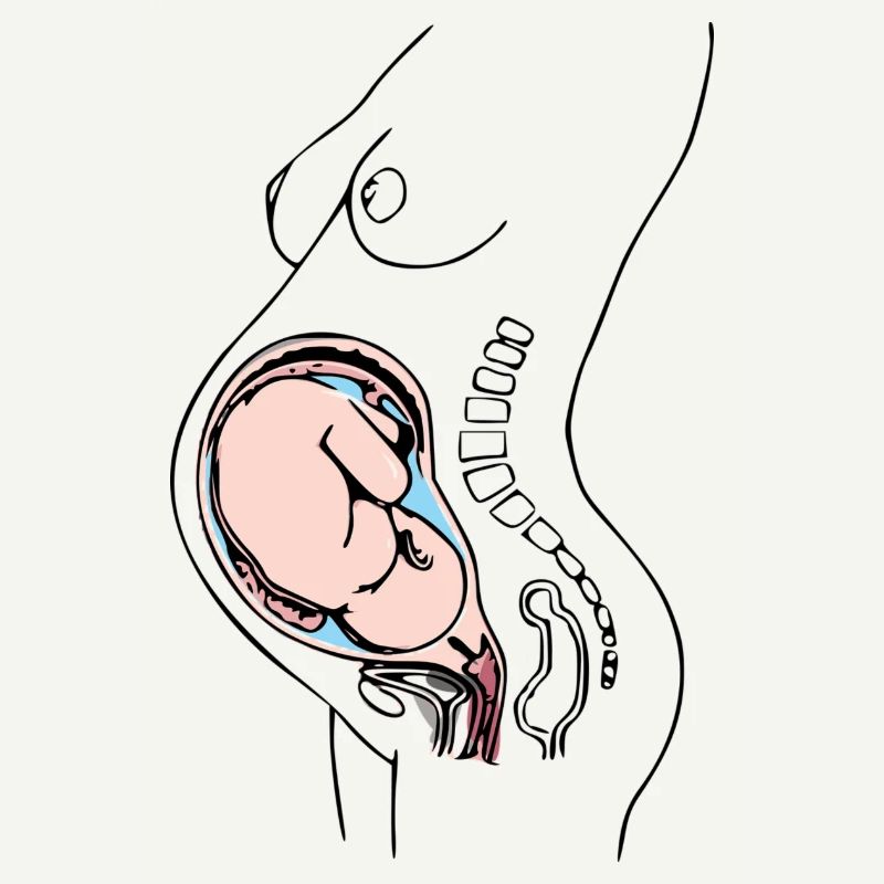 enceinte