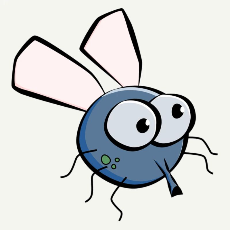 fly