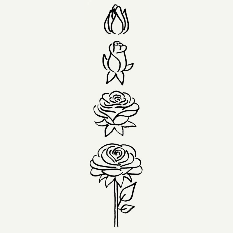 éclosion d'une fleur noire