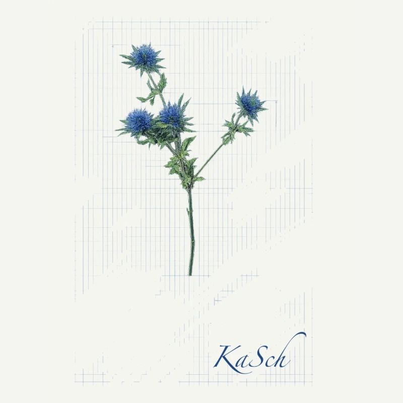 Distel_KaSch