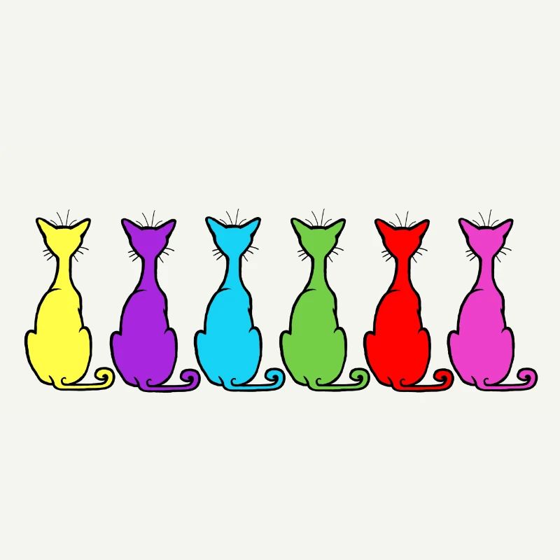 6 chats assis face