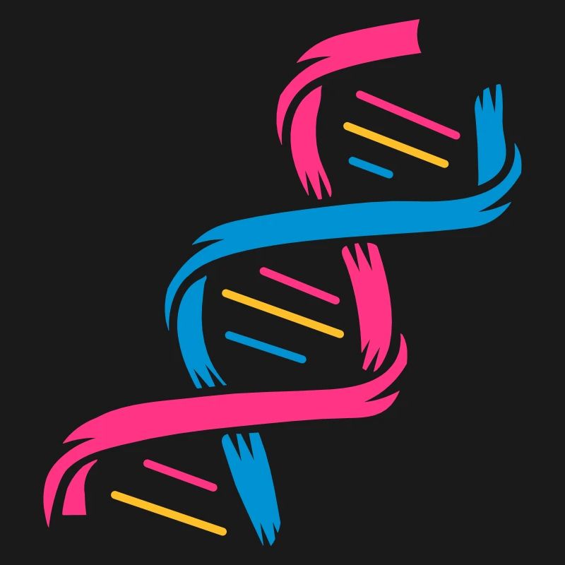The structure of a DNA molecule