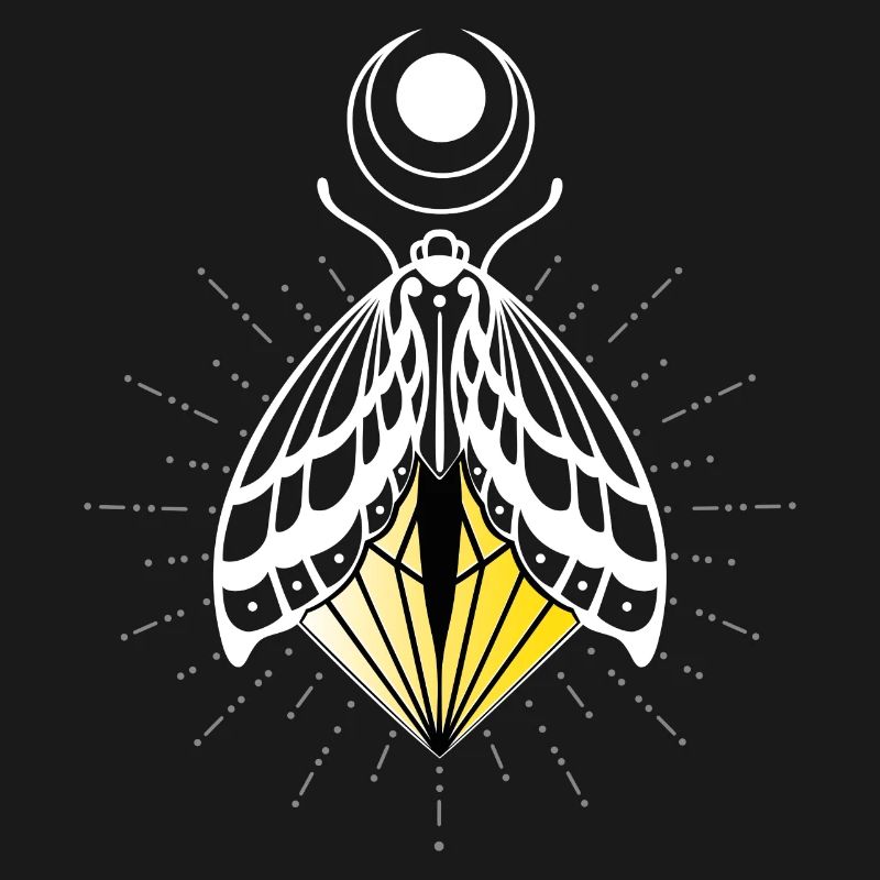 Firefly Moth Moth Moth