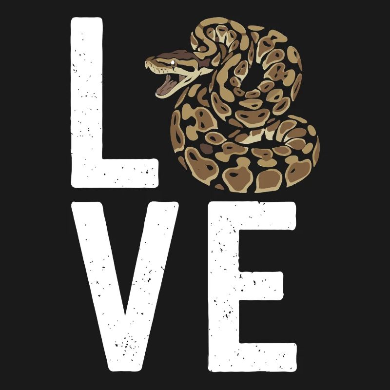 Königspython Schlangen LOVE Terrarium Python