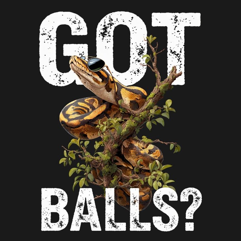 Python roi Serpents Amateurs de terrarium Python