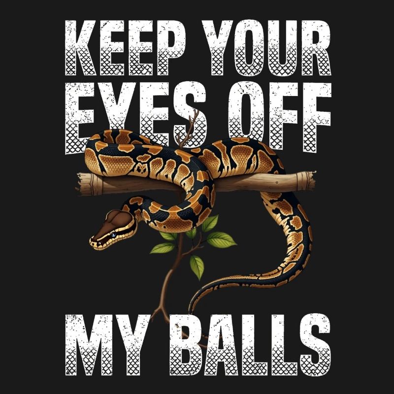 Königspython Schlangen Liebhaber Terrarium Python