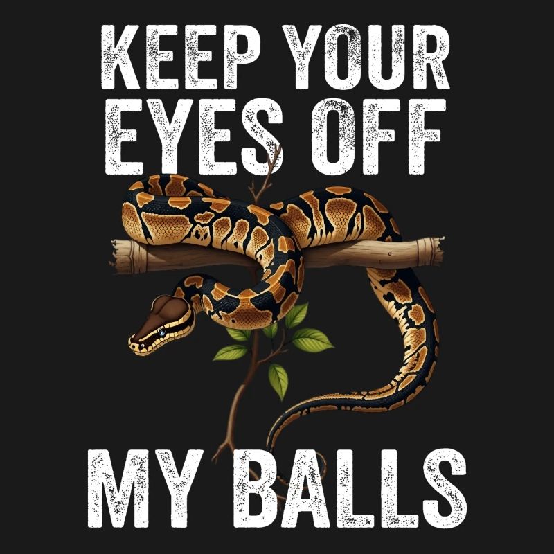 Python roi Serpents Amateurs de terrarium Python