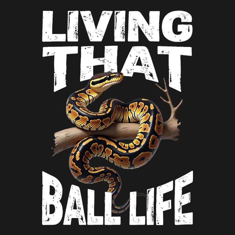 Python roi Serpents Amateurs de terrarium Python