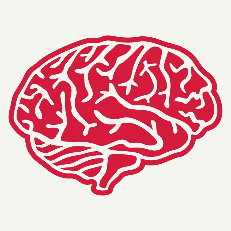 Brain