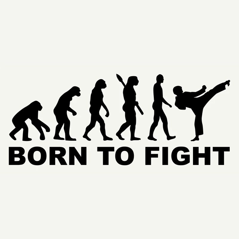 Evolution Karate