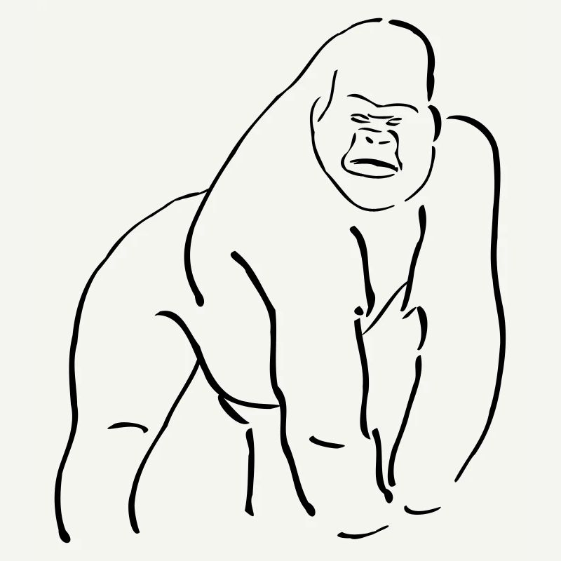 Collection singes