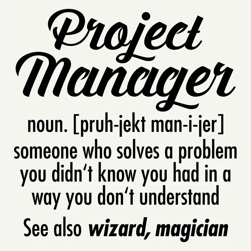 Project Manager - Definition