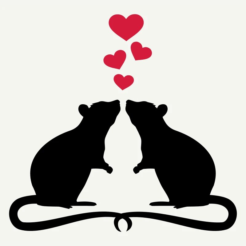 Rat