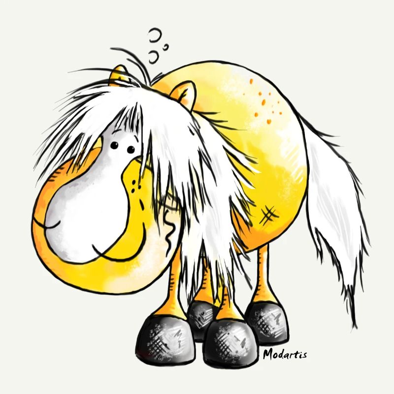 Haflinger - Avelignese - Cheval