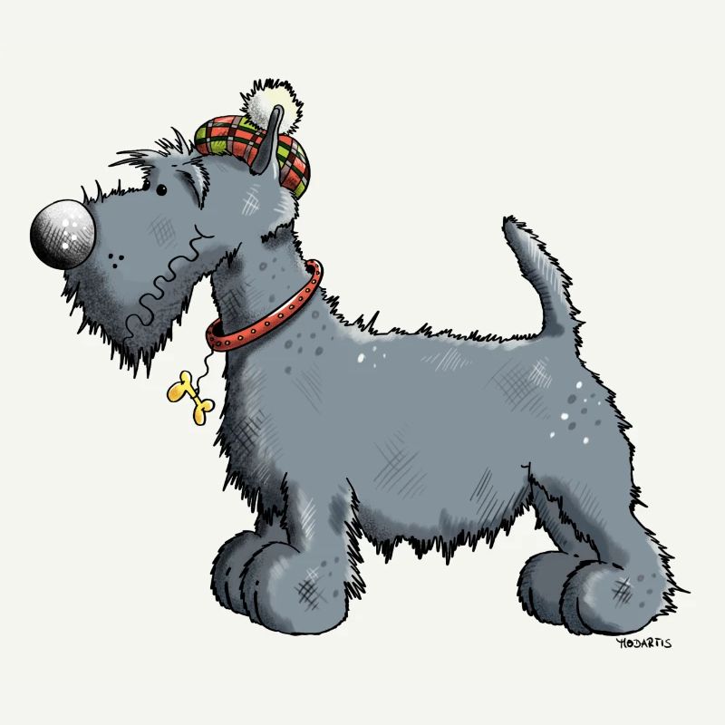 Funny Scottish Terrier