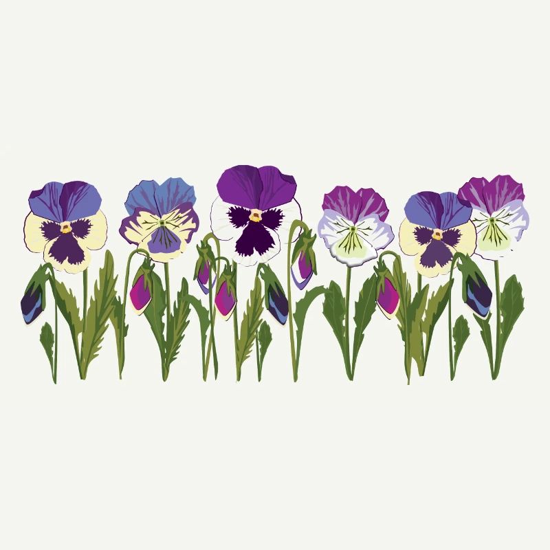 Rangée de fleurs de pensée en violet