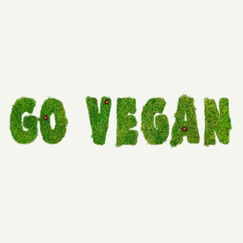 Go Vegan - Déclaration