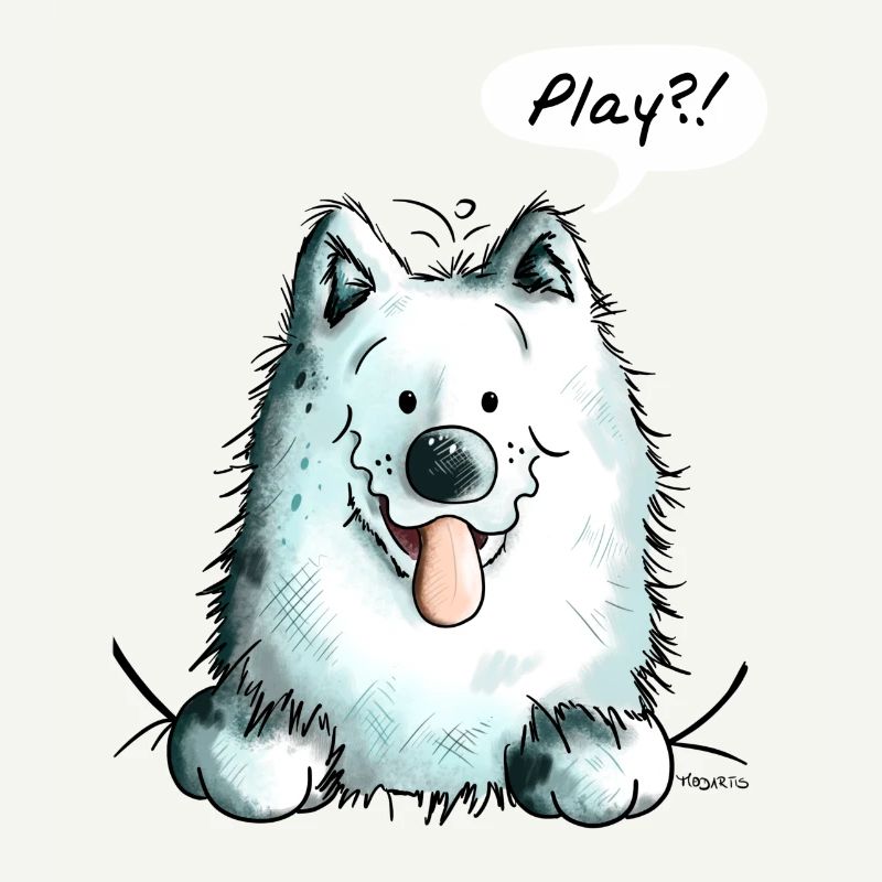 Samoyède Play - Samoyeds - Sabaka - Sobaka