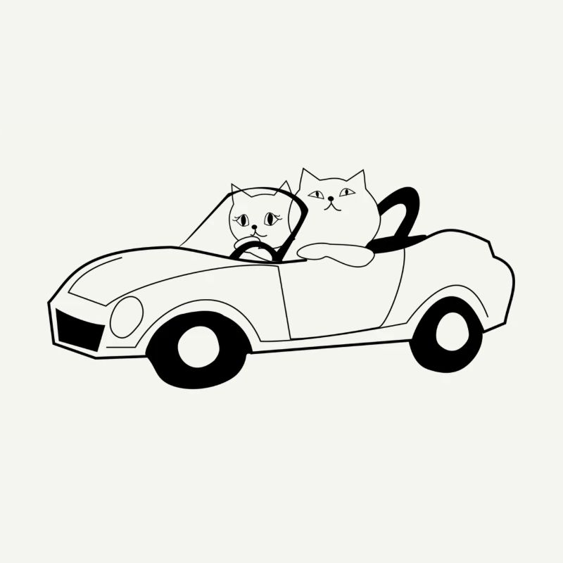 Les chats dans un cabriolet