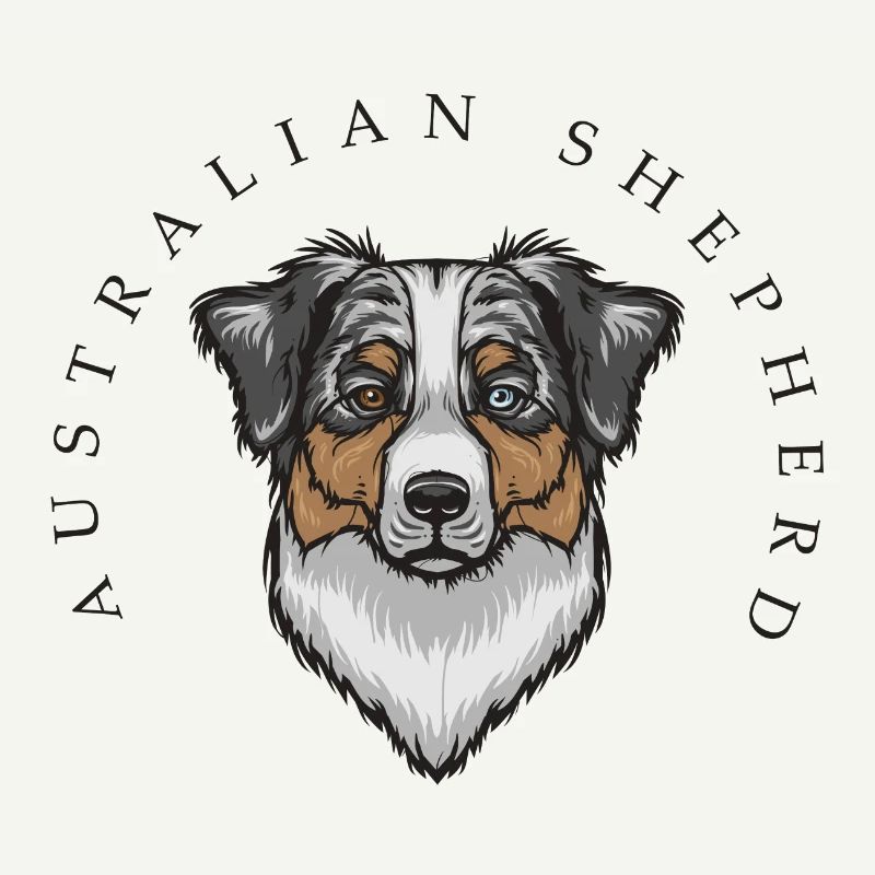 Australian Shepherd