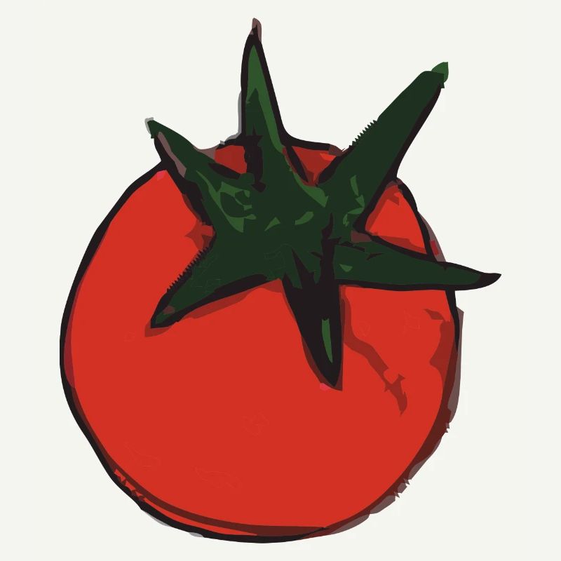 tomate tomate