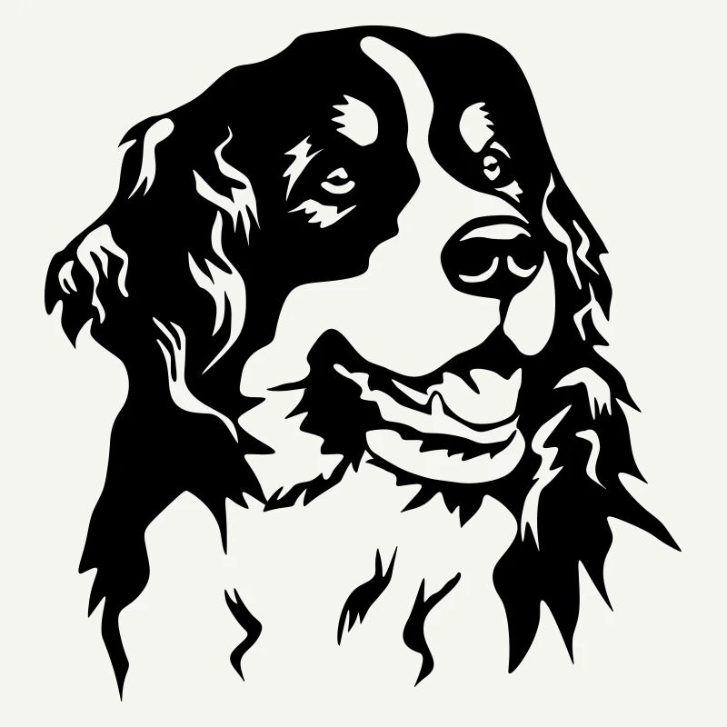 Bernese Mountain Dog head
