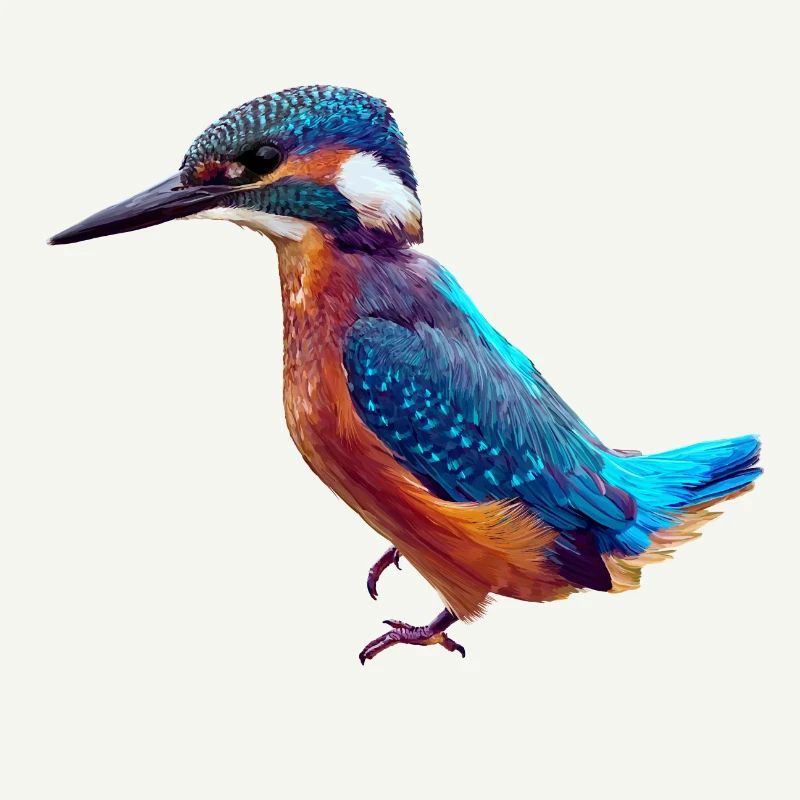 Oiseau de glace