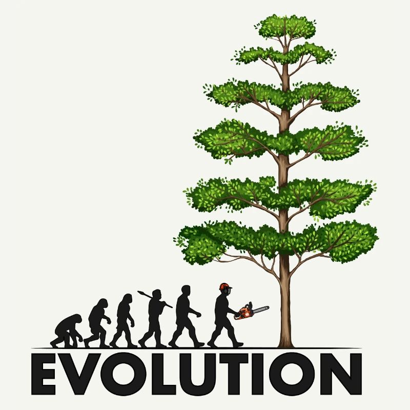Tronçonneuse Evolution Grey Big Tree