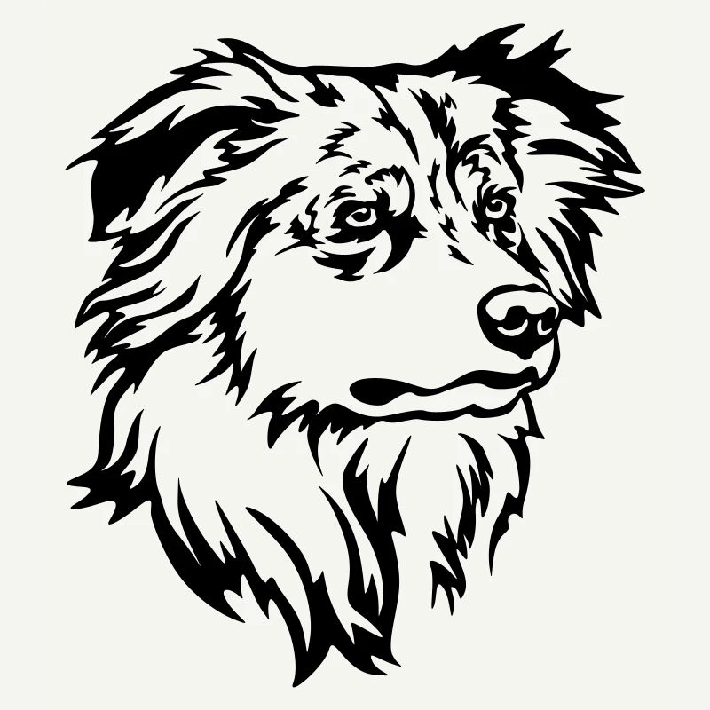 Australian Shepherd Kopf