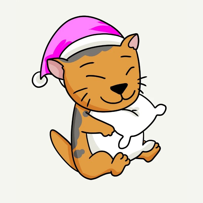 Cat Cat Breed Scottish Folding Ear Cat