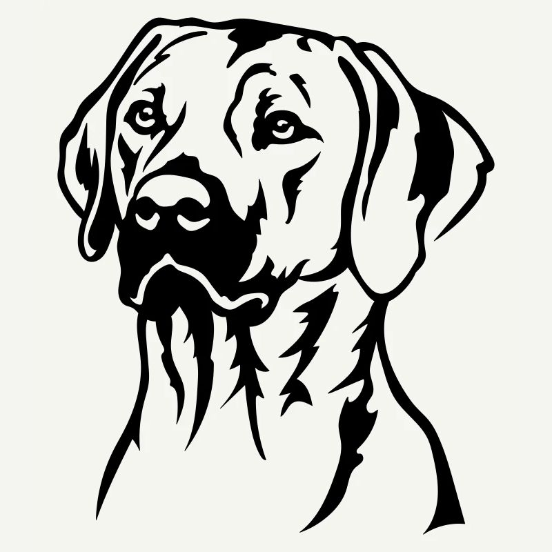 Rhodesian Ridgeback Head