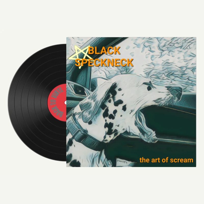 Vinyl