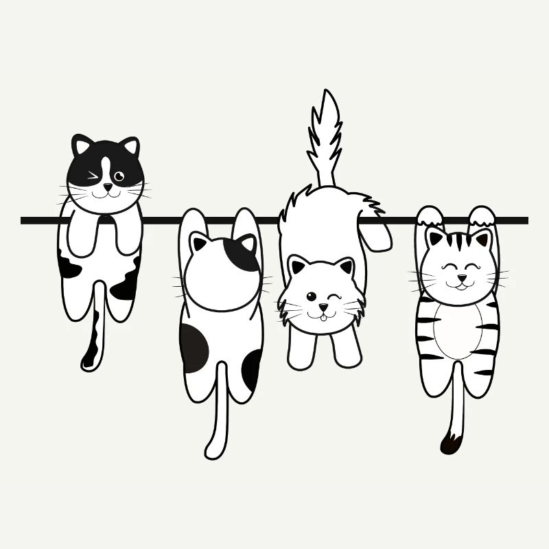 Chat de lessive