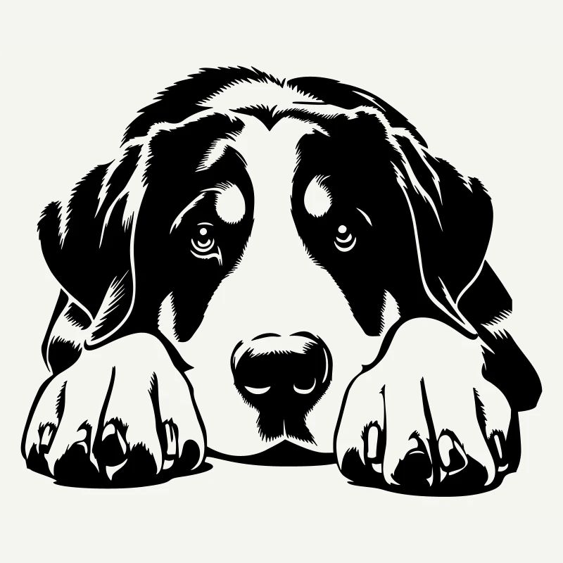 Großer Schweizer Sennenhund