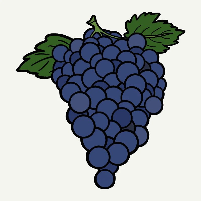 Delicious Fruit Grape