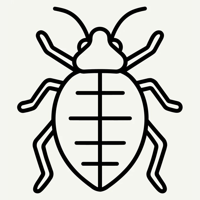 Aphid