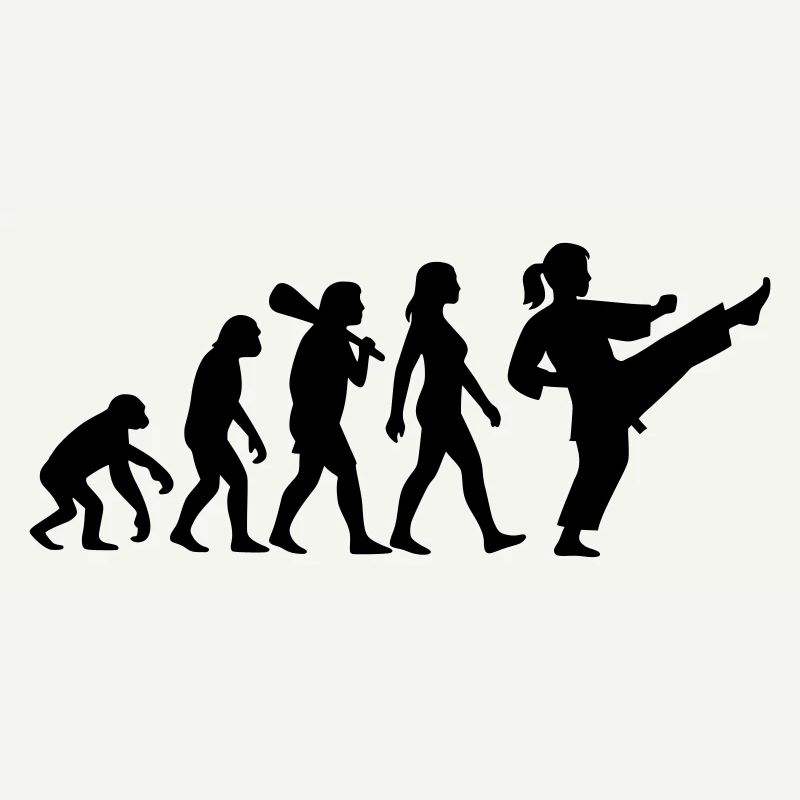 Karate Evolution
