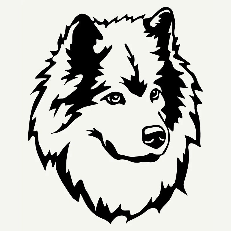 Eurasian head