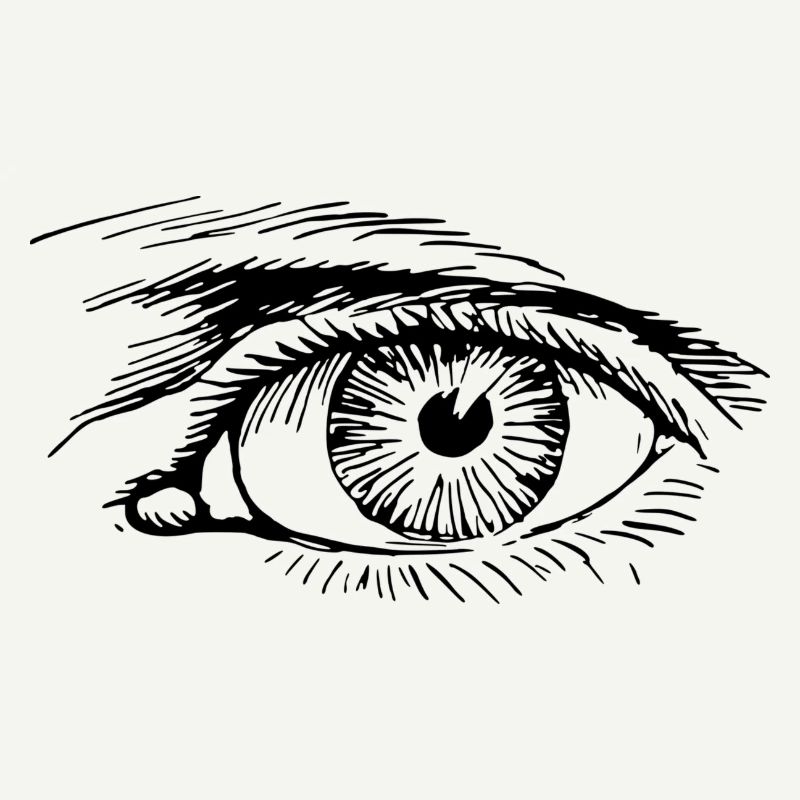 œil