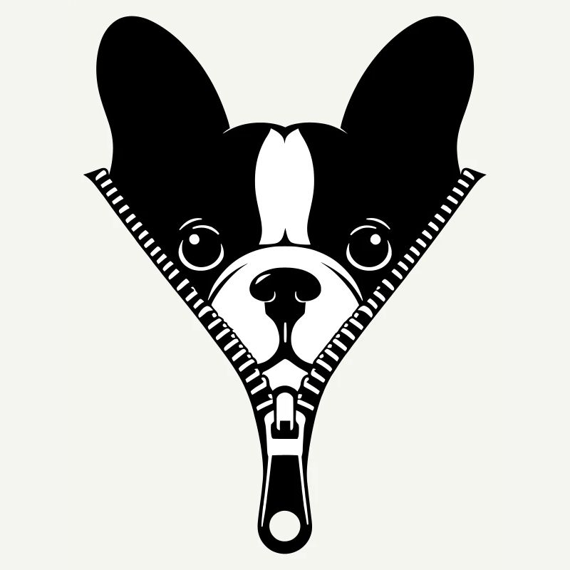 Bouledogue Français dans une fermeture éclair