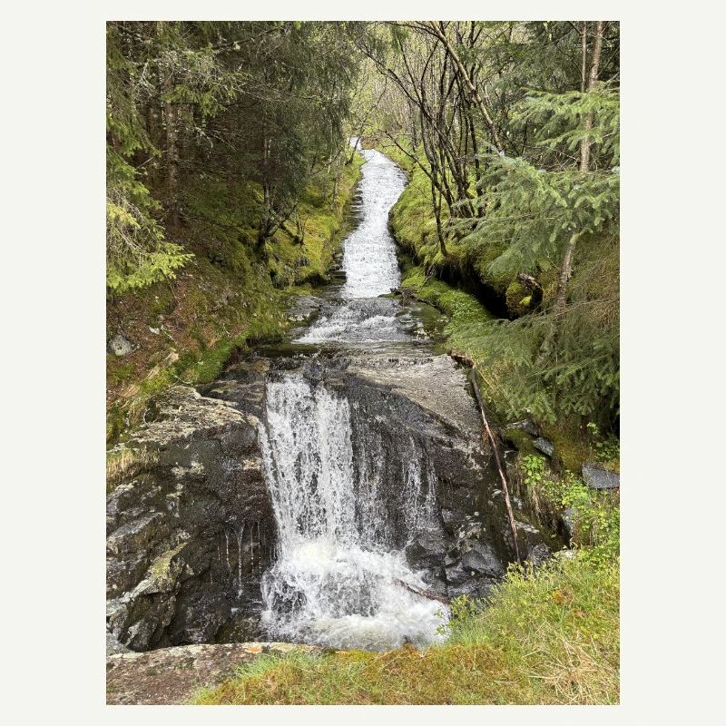 Conception de cascade de parc naturel