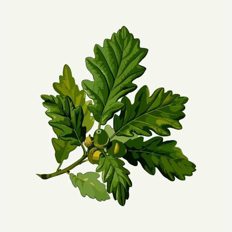 branch