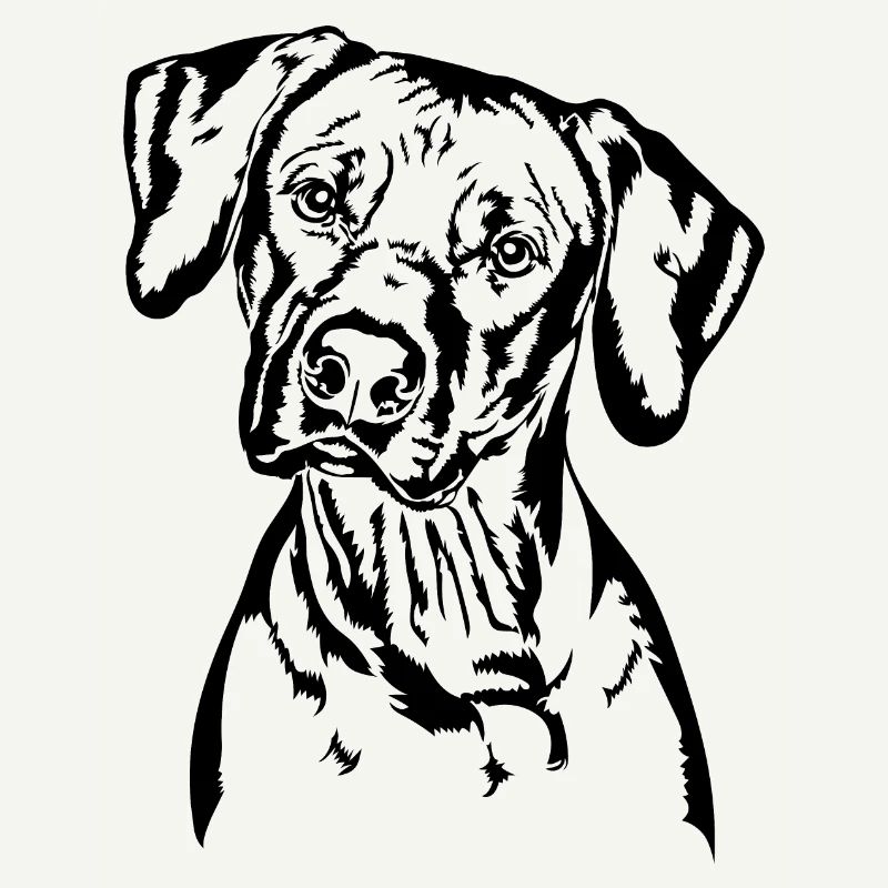 RHODESIAN RIDGEBACK Portrait de chien Wilsigns